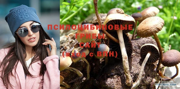 mdpv Верхний Тагил