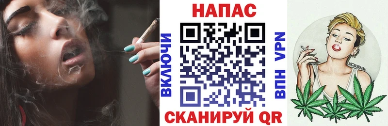 где найти наркотики  Ессентуки  Бошки марихуана сатива 